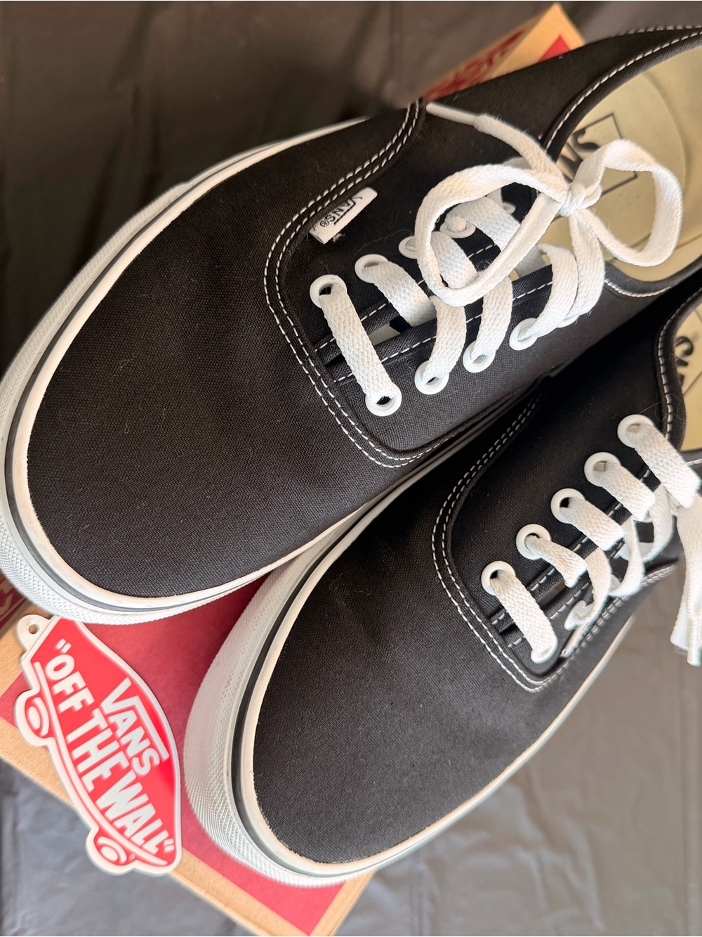 Vans Black Canvas Low-Top Sneakers with White Accents